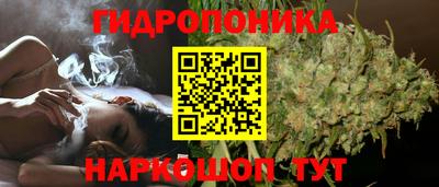 ECSTASY Гусь-Хрустальный