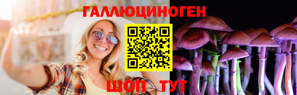 купить   Вход с VPN  Псилоцибиновые грибы мицелий  Михайловск  Галлюциногенные грибы Psilocybe 
